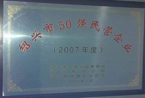 2007绍兴市50强民营企业